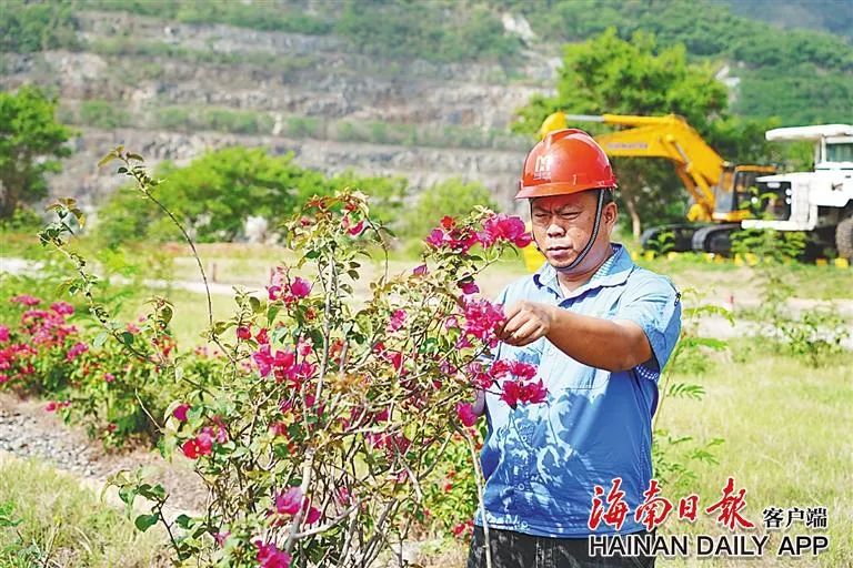 海南這座礦山，為何這么綠？4.jpg